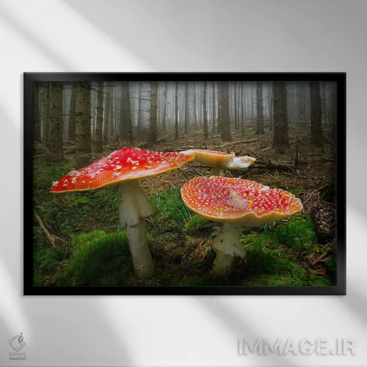 تابلو دروازههای گنومها (موجود افسانهای) اثر آدریان بوردَا - نمای قابدار مشکی