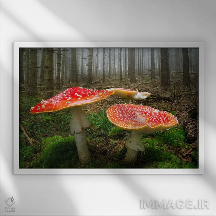 تابلو دروازههای گنومها (موجود افسانهای) اثر آدریان بوردَا - نمای قابدار سفید