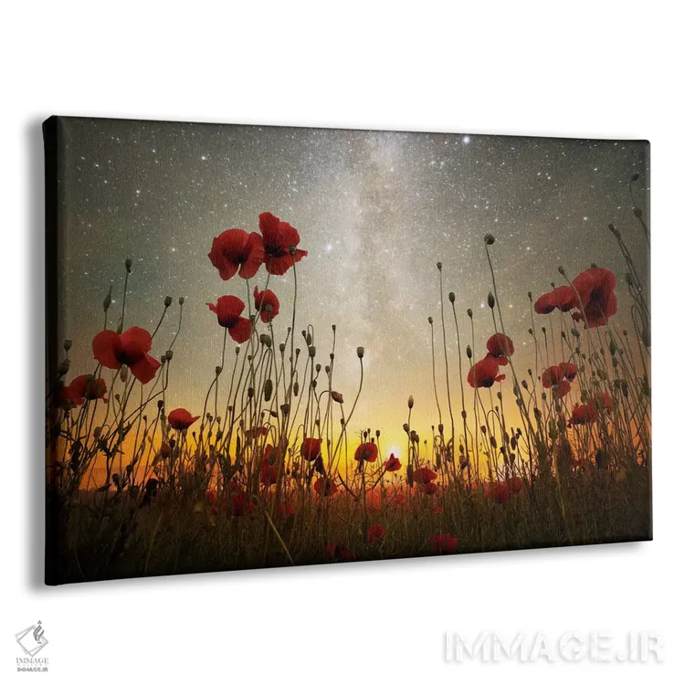 تابلو پادشاهی طلوع ماه یک اثر آدریان بوردَا - نمای پرسپکتیو محصول