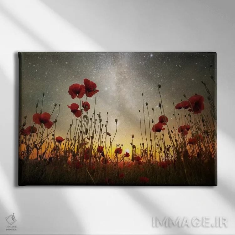 تابلو پادشاهی طلوع ماه یک اثر آدریان بوردَا - نمای روبهرو روی دیوار