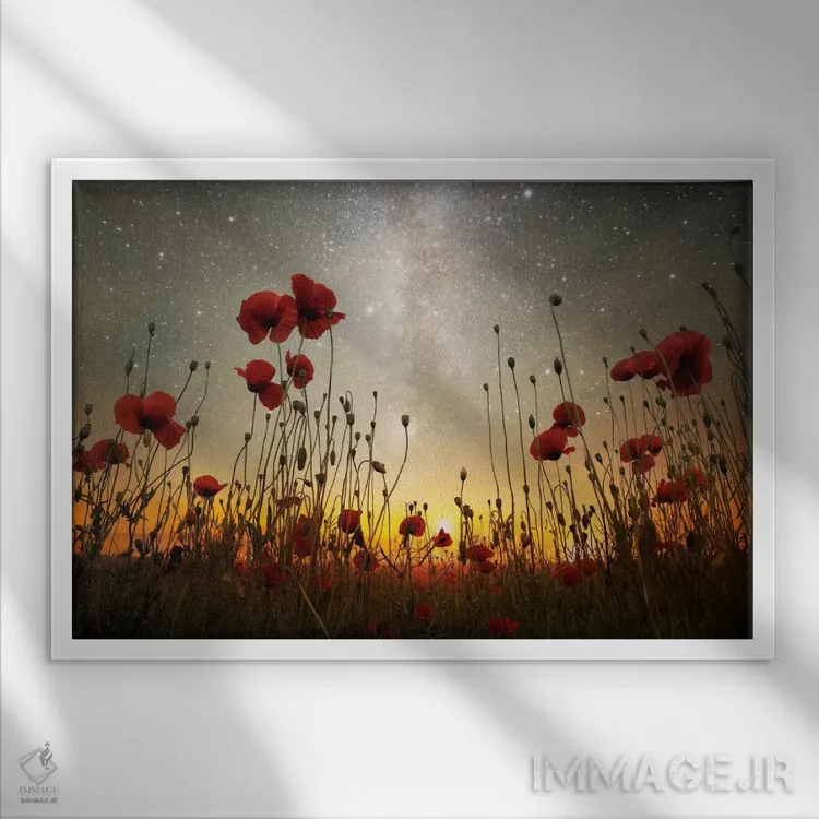 تابلو پادشاهی طلوع ماه یک اثر آدریان بوردَا - نمای قابدار سفید