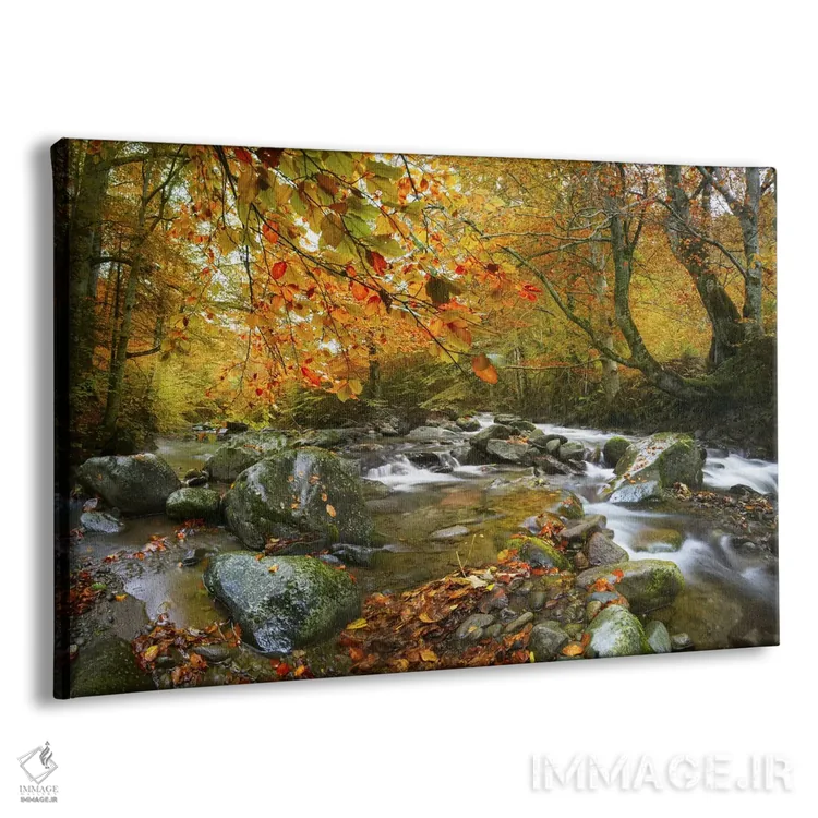 تابلو رودخانه زنگزده اثر آدریان بوردَا - نمای پرسپکتیو محصول