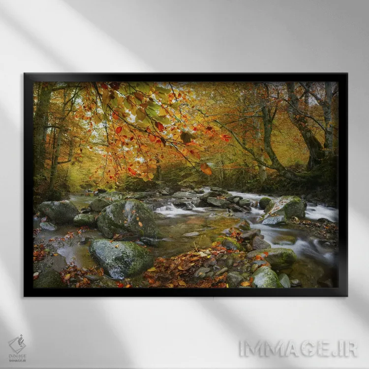 تابلو رودخانه زنگزده اثر آدریان بوردَا - نمای قابدار مشکی