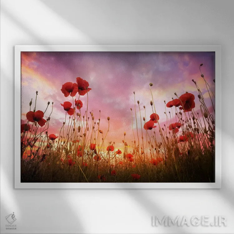 تابلو همانطور که در بالا، در پایین نیز هست اثر آدریان بوردَا - نمای قابدار سفید