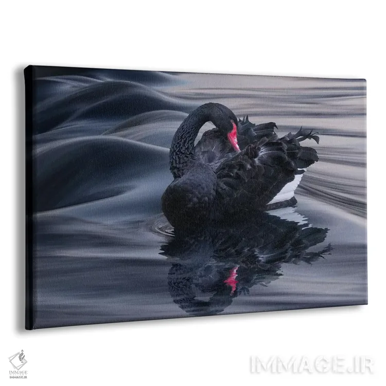 تابلو تپه شنی قو سیاه اثر آدریان بوردَا - نمای پرسپکتیو محصول