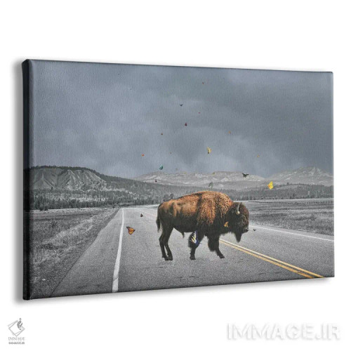 تابلو بال بوفالو (غذای آمریکایی) اثر جیسون بروک - نمای پرسپکتیو محصول