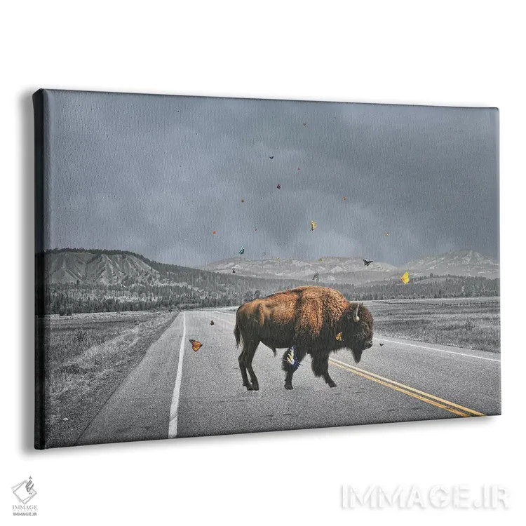 تابلو بال بوفالو (غذای آمریکایی) اثر جیسون بروک - نمای پرسپکتیو محصول