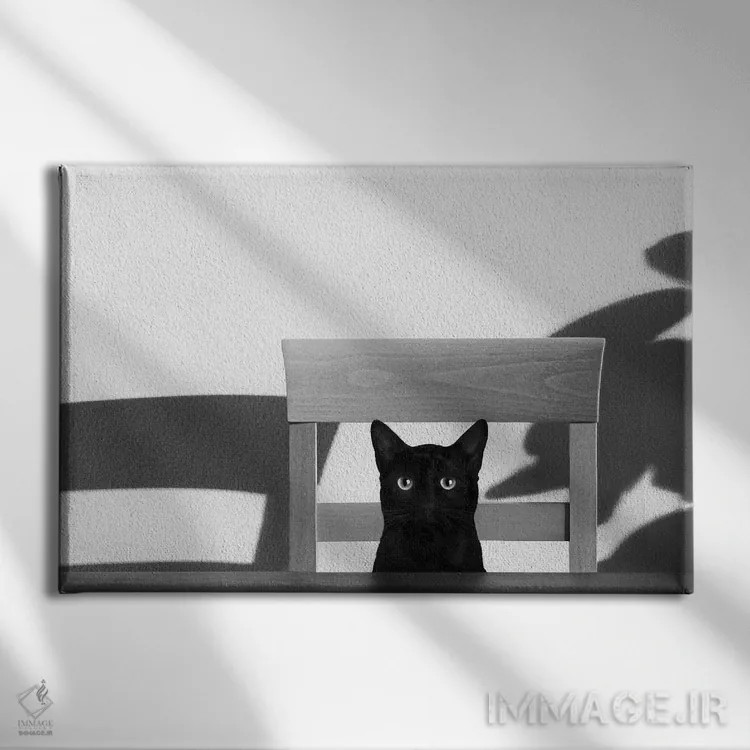 تابلو قهوهام کجاست؟ اثر جان برتلی - نمای روبهرو روی دیوار