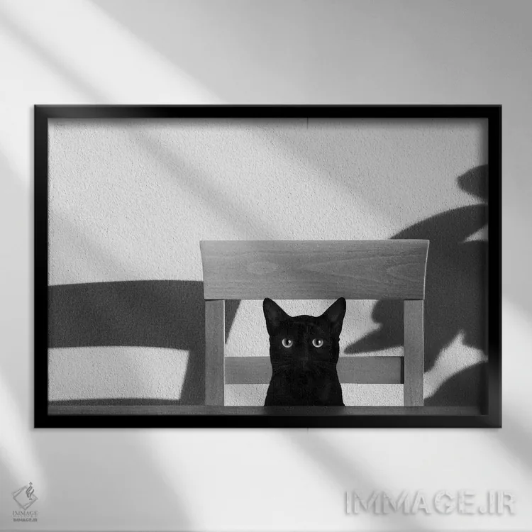 تابلو قهوهام کجاست؟ اثر جان برتلی - نمای قابدار مشکی