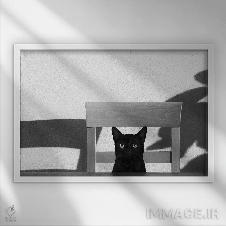 تابلو قهوهام کجاست؟ اثر جان برتلی - نمای قابدار سفید