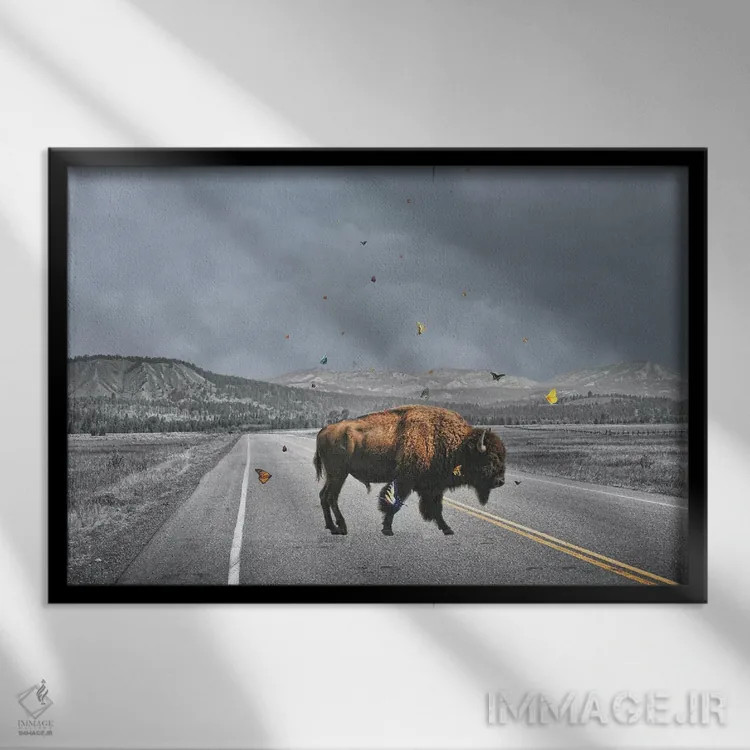 تابلو بال بوفالو (غذای آمریکایی) اثر جیسون بروک - نمای قابدار مشکی