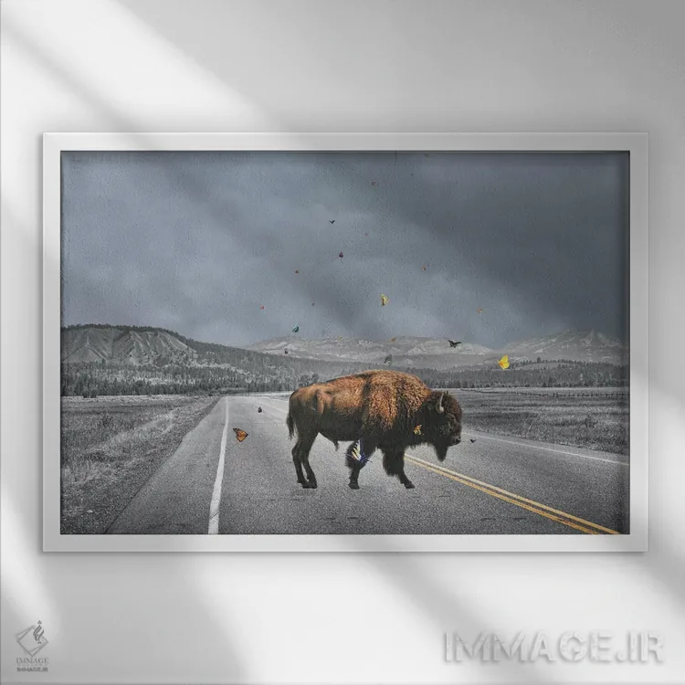 تابلو بال بوفالو (غذای آمریکایی) اثر جیسون بروک - نمای قابدار سفید