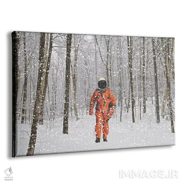 تابلو گمشده در کلرادو II اثر جیسون بروک - نمای پرسپکتیو محصول