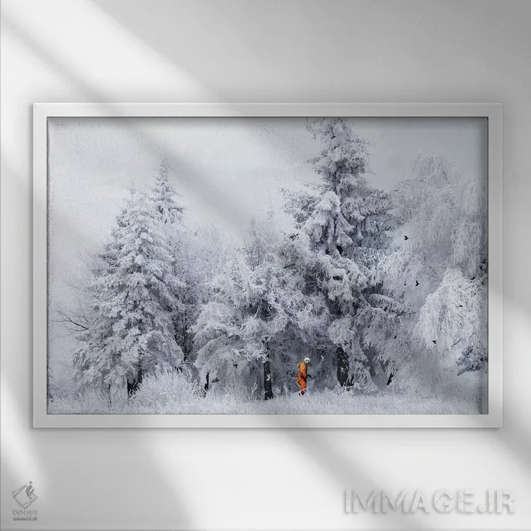 تابلو حواسپرت/فضایی شدن اثر جیسون بروک - نمای قابدار سفید