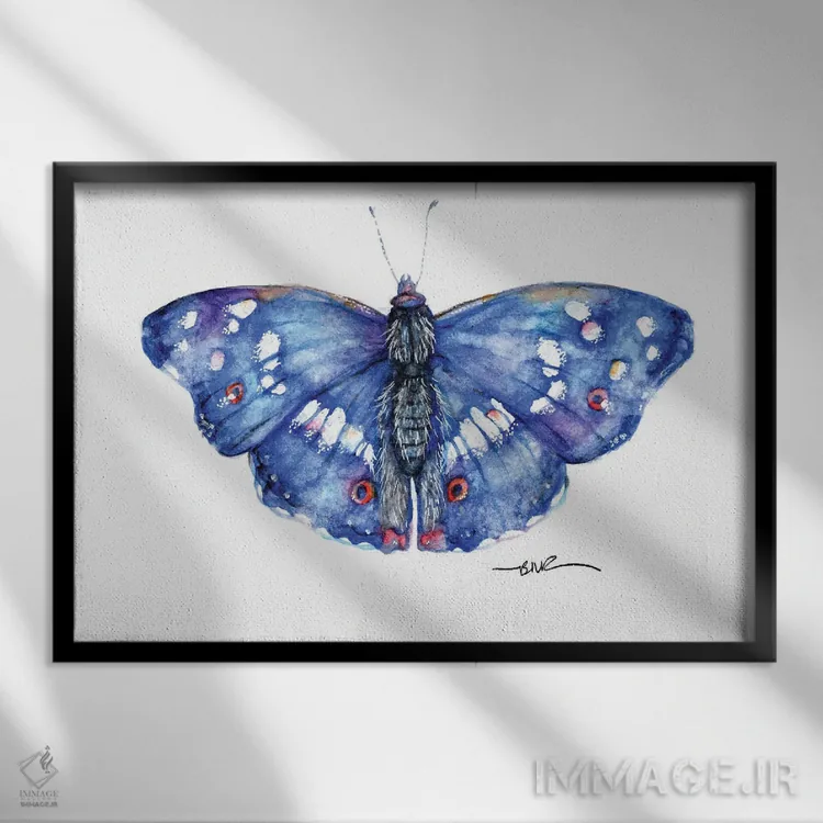 تابلو پروانه امپراتور بنفش اثر بیبزآرتس - نمای قابدار مشکی
