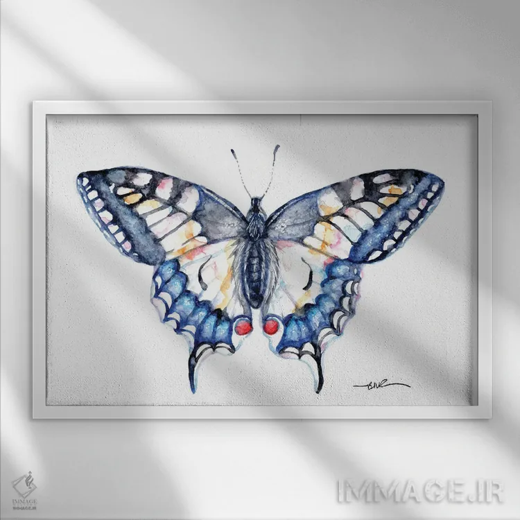 تابلو پروانه خالدم چلچلهای اثر بیبزآرتس - نمای قابدار سفید