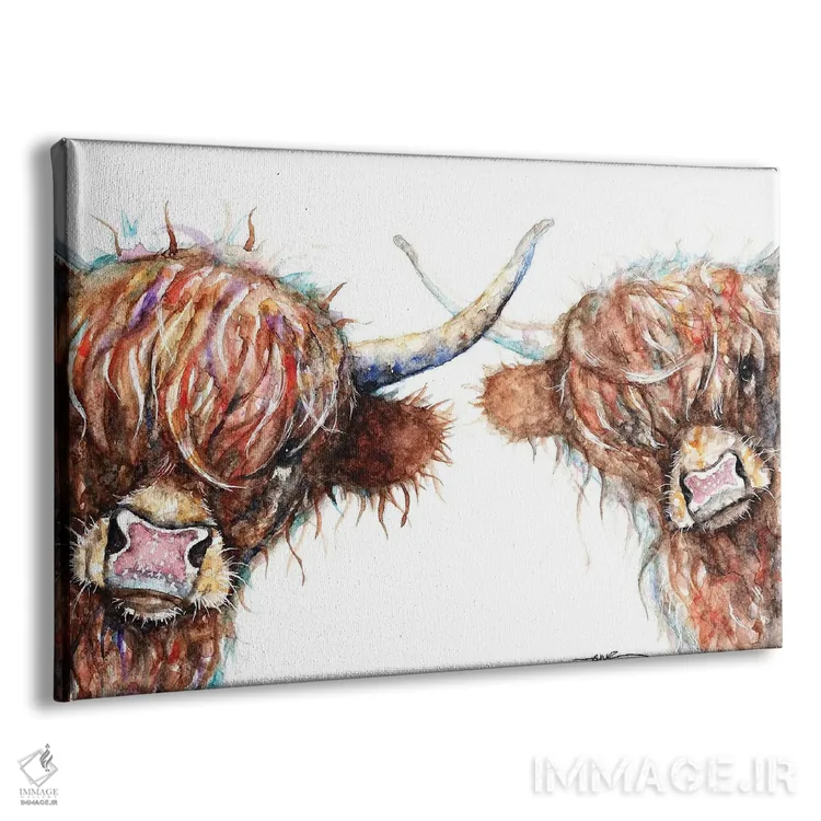 تابلو گاوهای کنجکاو هایلند اثر بیبزآرتس - نمای پرسپکتیو محصول