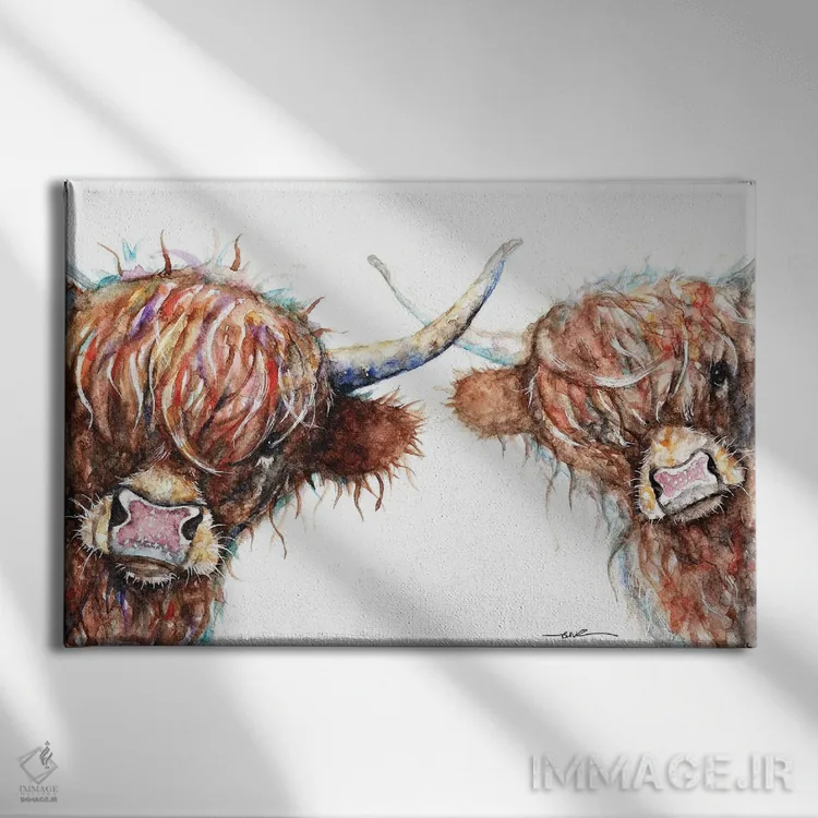 تابلو گاوهای کنجکاو هایلند اثر بیبزآرتس - نمای روبهرو روی دیوار