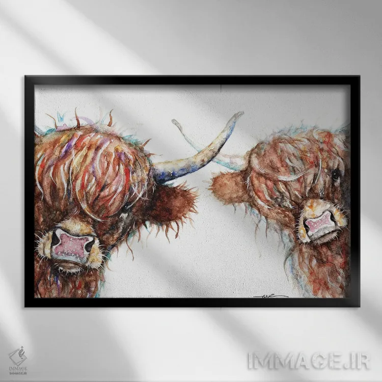 تابلو گاوهای کنجکاو هایلند اثر بیبزآرتس - نمای قابدار مشکی