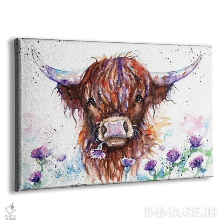 تابلو گاو هایلند میان خارها اثر بیبزآرتس - نمای پرسپکتیو محصول