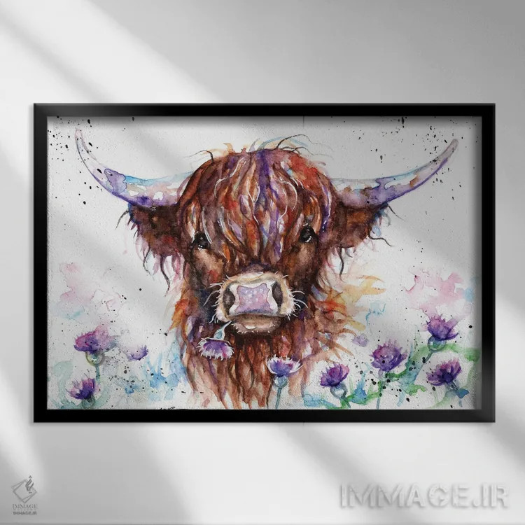 تابلو گاو هایلند میان خارها اثر بیبزآرتس - نمای قابدار مشکی