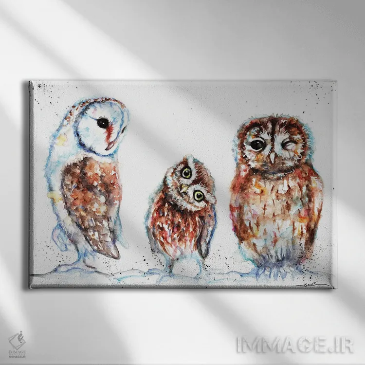 تابلو سهتایی از جغدها اثر بیبزآرتس - نمای روبهرو روی دیوار