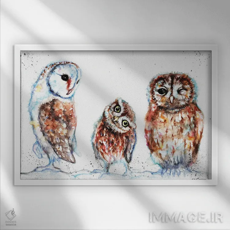 تابلو سهتایی از جغدها اثر بیبزآرتس - نمای قابدار سفید