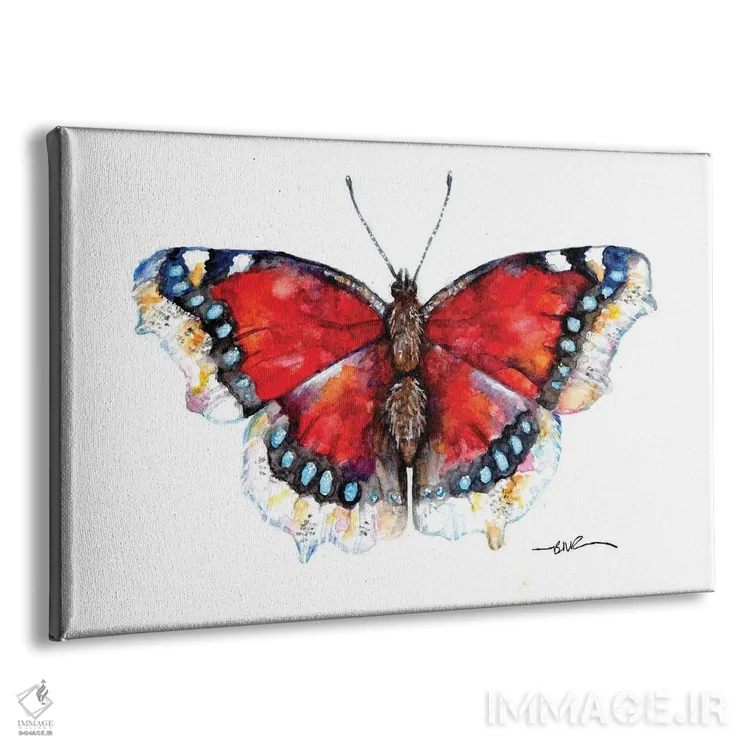 تابلو پروانه زیبای کامبروِل اثر بیبزآرتس - نمای پرسپکتیو محصول