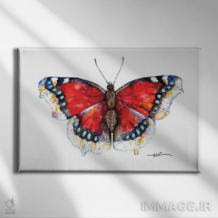تابلو پروانه زیبای کامبروِل اثر بیبزآرتس - نمای روبهرو روی دیوار