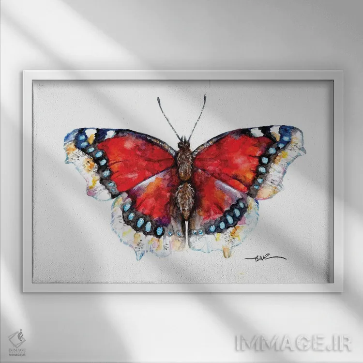 تابلو پروانه زیبای کامبروِل اثر بیبزآرتس - نمای قابدار سفید