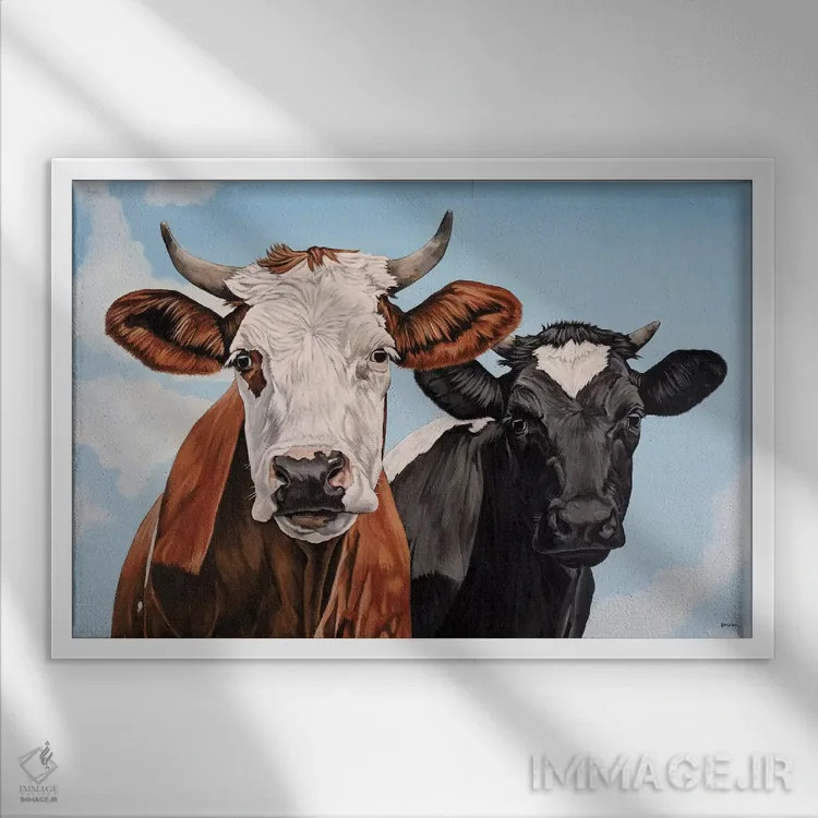 تابلو جینجر و بسی (اسم گاوها) اثر کلارا باستین - نمای قابدار سفید