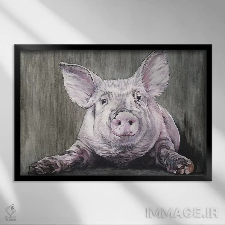 تابلو خوک اثر کلارا باستین - نمای قابدار مشکی