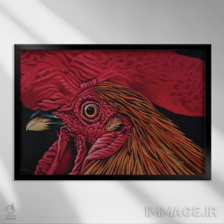 تابلو خروس نارنجی اثر کلارا باستین - نمای قابدار مشکی