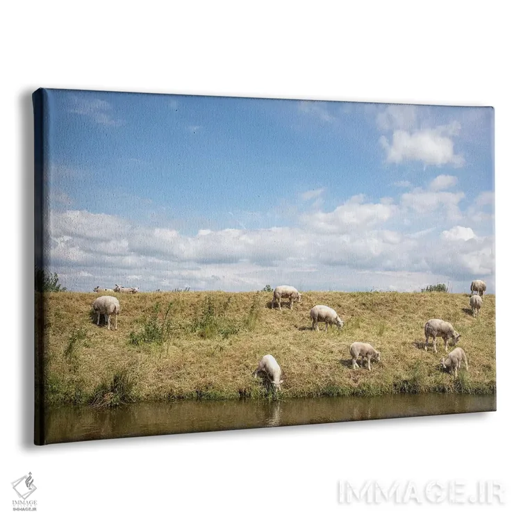 تابلو گوسفند چراکننده اثر کلارا باستین - نمای پرسپکتیو محصول