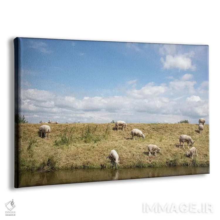تابلو گوسفند چراکننده اثر کلارا باستین - نمای پرسپکتیو محصول