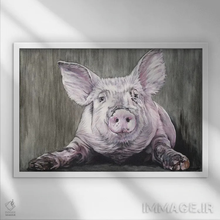 تابلو خوک اثر کلارا باستین - نمای قابدار سفید