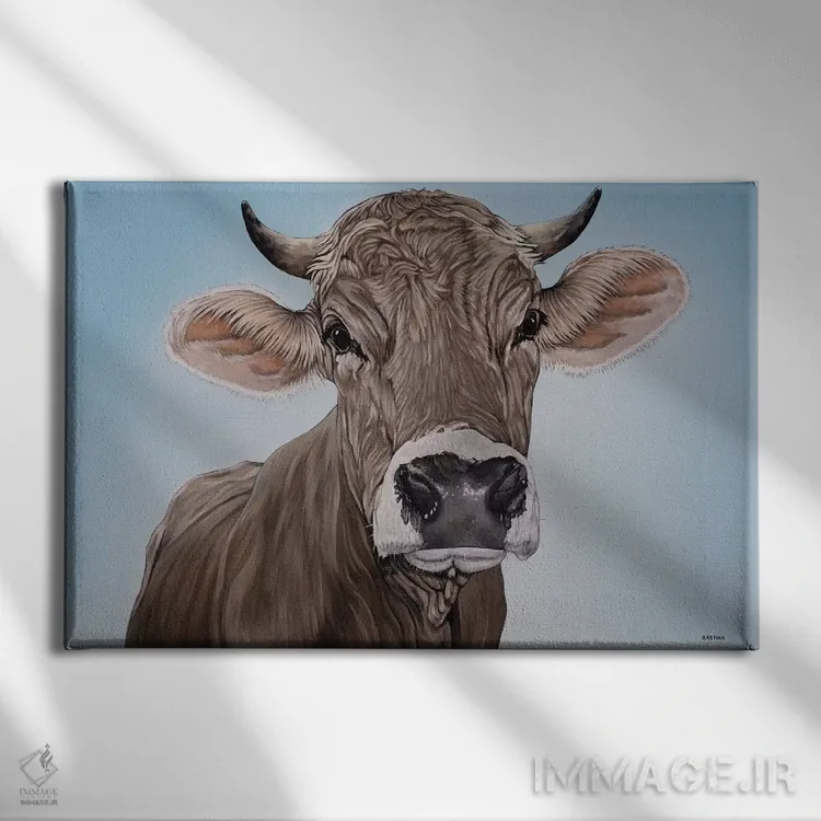 تابلو براون سوییس (نژاد گاو) اثر کلارا باستین - نمای روبهرو روی دیوار