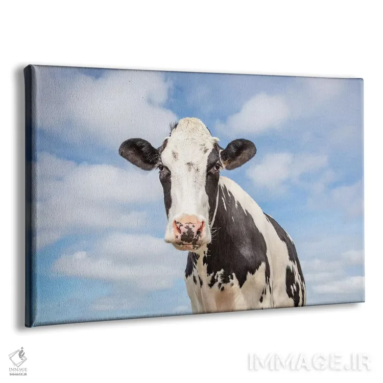 تابلو گاو شیرین اثر کلارا باستین - نمای پرسپکتیو محصول