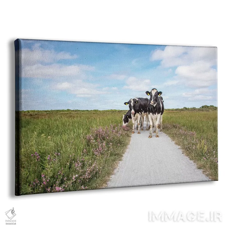 تابلو گاوها در جاده اثر کلارا باستین - نمای پرسپکتیو محصول