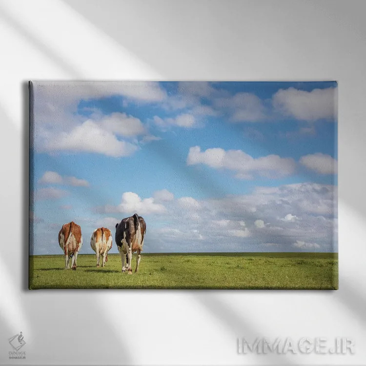 تابلو دور شو اثر کلارا باستین - نمای روبهرو روی دیوار