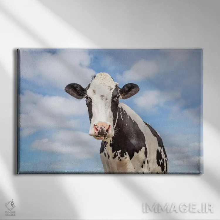 تابلو گاو شیرین اثر کلارا باستین - نمای روبهرو روی دیوار