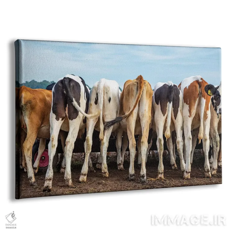 تابلو کپلها و دمها اثر کلارا باستین - نمای پرسپکتیو محصول