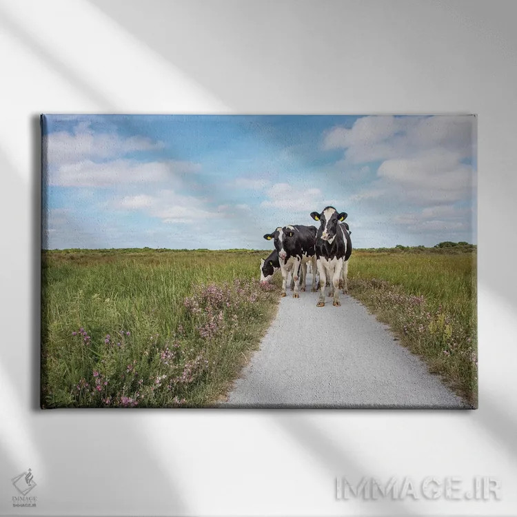 تابلو گاوها در جاده اثر کلارا باستین - نمای روبهرو روی دیوار