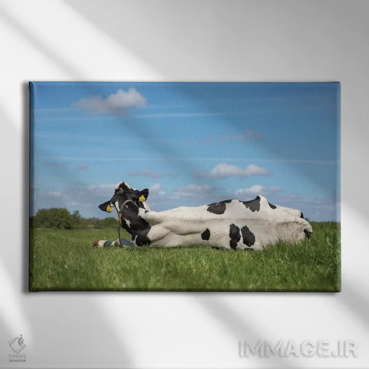 تابلو دم را غنیمت شمار اثر کلارا باستین - نمای روبهرو روی دیوار