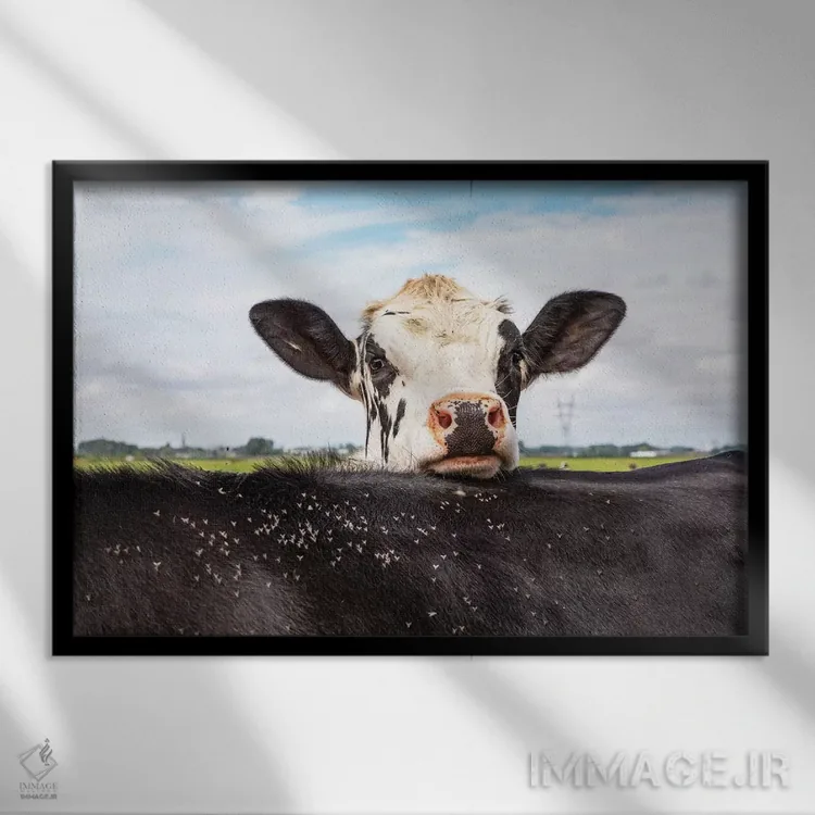 تابلو قایمموشک اثر کلارا باستین - نمای قابدار مشکی