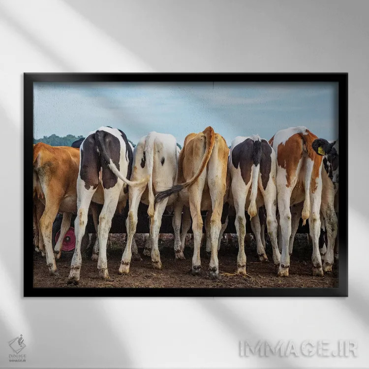 تابلو کپلها و دمها اثر کلارا باستین - نمای قابدار مشکی