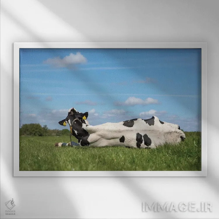 تابلو دم را غنیمت شمار اثر کلارا باستین - نمای قابدار سفید