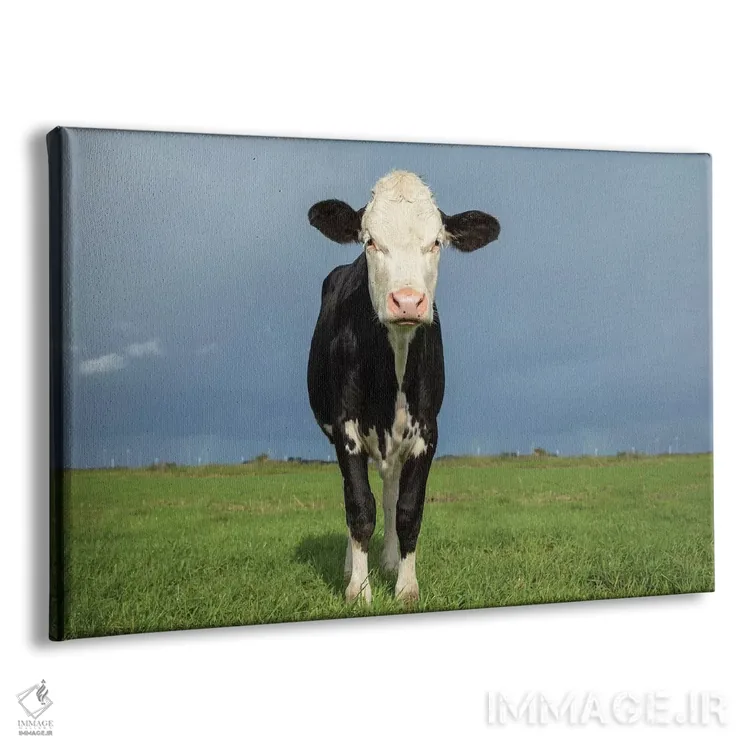 تابلو سیاه و سفید اثر کلارا باستین - نمای پرسپکتیو محصول