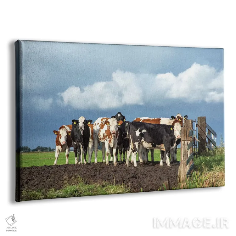 تابلو در انتظار پشت دروازه اثر کلارا باستین - نمای پرسپکتیو محصول