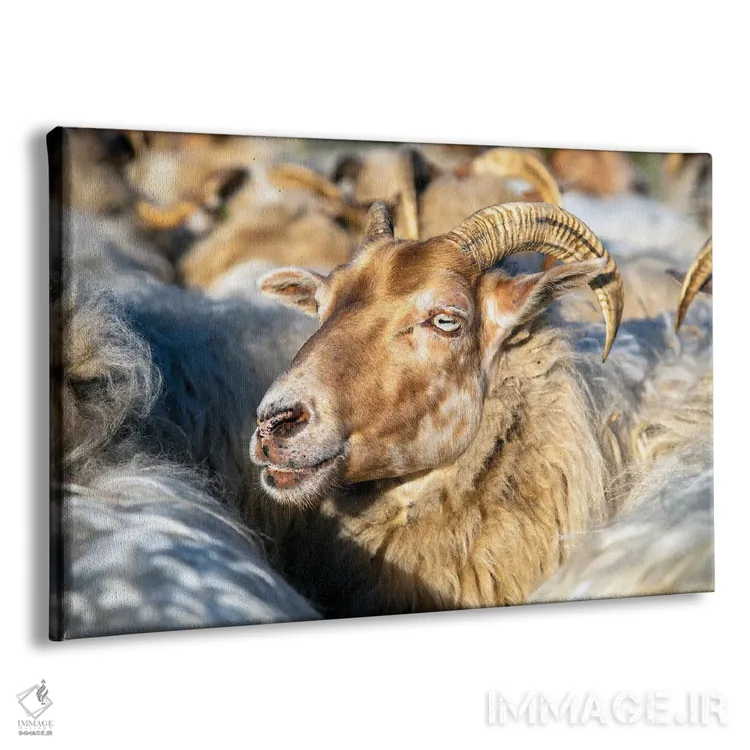 تابلو در میان جمعیت اثر کلارا باستین - نمای پرسپکتیو محصول